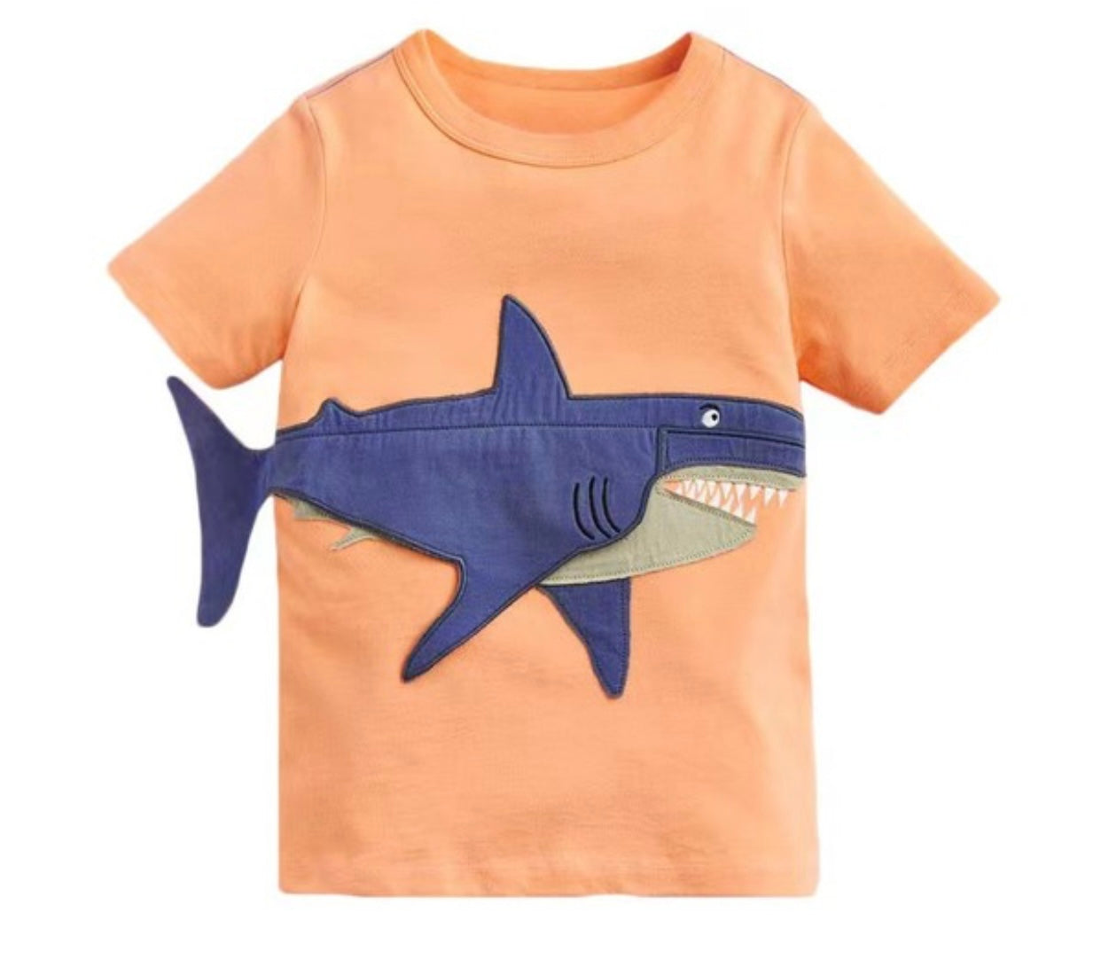 Shark Attack